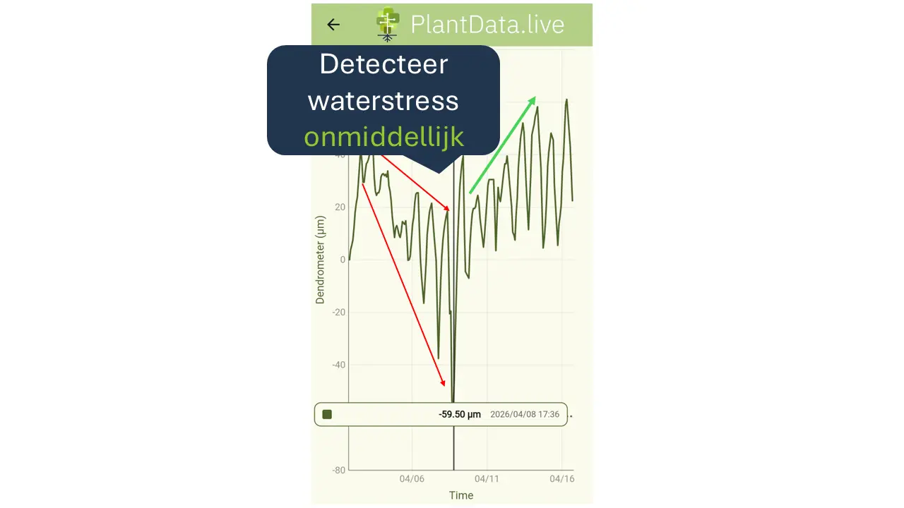 PlantData Live dashboard use-case: detecteer waterstress onmiddellijk