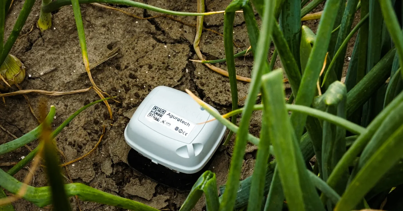 Agurotech-bodemvochtsensor in een uienperceel